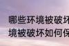 哪些环境被破坏怎样保护环境 哪些环境被破坏如何保护环境
