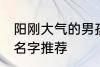 阳刚大气的男孩名字 阳刚大气的男孩名字推荐