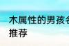 木属性的男孩名字 木属性的男孩名字推荐