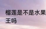 榴莲是不是水果之王啊 榴莲是水果之王吗