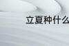 立夏种什么 立夏种的植物