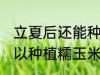 立夏后还能种植糯玉米吗 立夏后还可以种植糯玉米吗