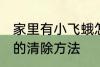 家里有小飞蛾怎么消灭 家里有小飞蛾的清除方法