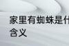 家里有蜘蛛是什么兆头 家里有蜘蛛的含义