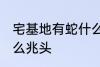 宅基地有蛇什么兆头 宅基地有蛇是什么兆头
