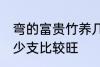 弯的富贵竹养几支最旺运 富贵竹养多少支比较旺