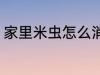家里米虫怎么消灭 家里米虫如何消灭