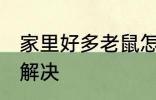 家里好多老鼠怎么办 家里有老鼠怎么解决