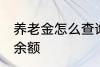 养老金怎么查询余额 养老金如何查询余额