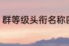 群等级头衔名称四个字 群名称有哪些