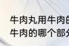 牛肉丸用牛肉的什么部分做 牛肉丸用牛肉的哪个部分做
