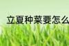 立夏种菜要怎么种 立夏要怎么种菜