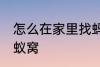 怎么在家里找蚂蚁窝 如何在家里找蚂蚁窝