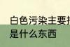 白色污染主要指的是什么 白色污染的是什么东西