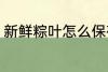 新鲜粽叶怎么保存 新鲜粽叶如何保存