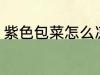 紫色包菜怎么凉拌 紫色包菜如何凉拌