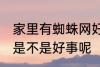 家里有蜘蛛网好事坏事 家里有蜘蛛网是不是好事呢