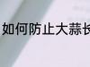 如何防止大蒜长牙 怎样防止大蒜长牙
