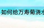 如何给万寿菊浇水 怎样给万寿菊浇水