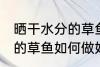 晒干水分的草鱼怎么做好吃 晒干水分的草鱼如何做好吃