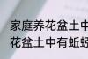 家庭养花盆土中有蚯蚓怎么办 家庭养花盆土中有蚯蚓的解决方法