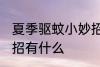 夏季驱蚊小妙招有哪些 夏季驱蚊小妙招有什么