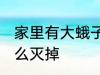 家里有大蛾子怎么处理 家里的蛾子怎么灭掉
