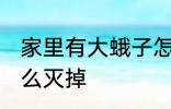 家里有大蛾子怎么处理 家里的蛾子怎么灭掉