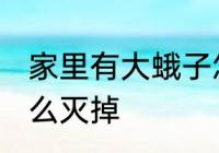 家里有大蛾子怎么处理 家里的蛾子怎么灭掉
