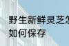 野生新鲜灵芝怎么保存 野生新鲜灵芝如何保存