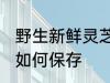 野生新鲜灵芝怎么保存 野生新鲜灵芝如何保存