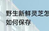 野生新鲜灵芝怎么保存 野生新鲜灵芝如何保存