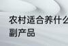 农村适合养什么 农村可以养些什么农副产品