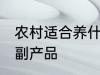 农村适合养什么 农村可以养些什么农副产品