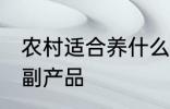 农村适合养什么 农村可以养些什么农副产品