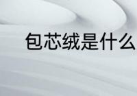 包芯绒是什么材质 包芯绒的介绍