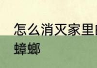 怎么消灭家里的蟑螂 如何消灭家里的蟑螂