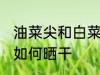 油菜尖和白菜怎么晒干 油菜尖和白菜如何晒干