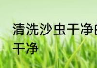 清洗沙虫干净的方法 怎样清洗沙虫最干净