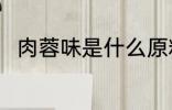 肉蓉味是什么原料 肉蓉味食材介绍
