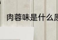 肉蓉味是什么原料 肉蓉味食材介绍