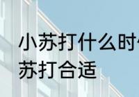 小苏打什么时候放 煮粥什么时候放小苏打合适