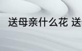送母亲什么花 送母亲可以送什么花