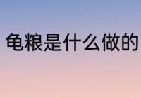 龟粮是什么做的 有谁知道龟粮的成份