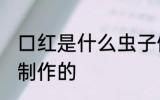 口红是什么虫子做的 口红是哪种虫子制作的