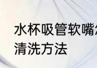 水杯吸管软嘴怎么洗 水杯吸管软嘴的清洗方法