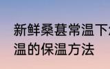 新鲜桑葚常温下怎么保存 新鲜桑葚常温的保温方法