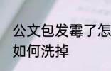 公文包发霉了怎么洗掉 公文包发霉了如何洗掉