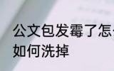 公文包发霉了怎么洗掉 公文包发霉了如何洗掉