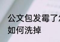 公文包发霉了怎么洗掉 公文包发霉了如何洗掉
